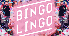 Bingo Lingo Terms