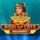 book of cats megaways slot game