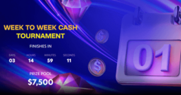 week to week tournament